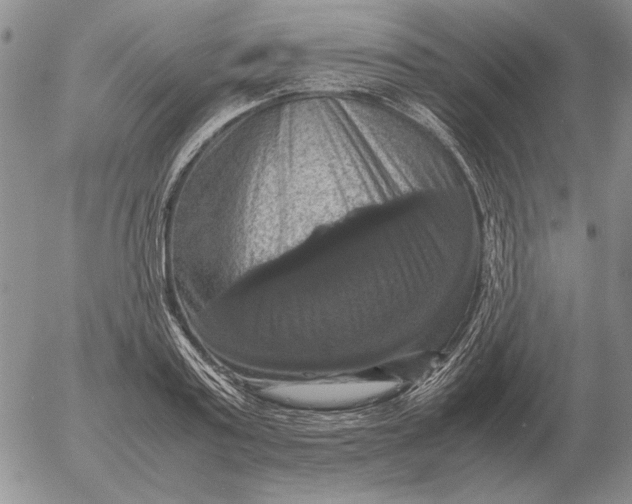 X0000054170795200508101758.png
