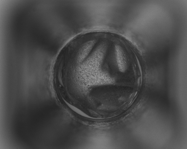 X0000044231325200501101628.png