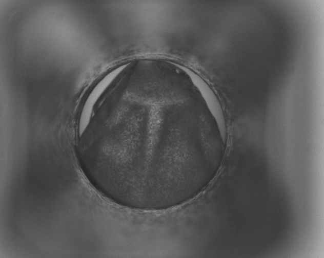 X0000038850002200410131840.png