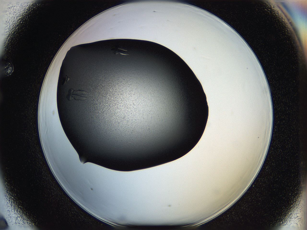 05hc_F6_ImagerDefaults_7.jpg