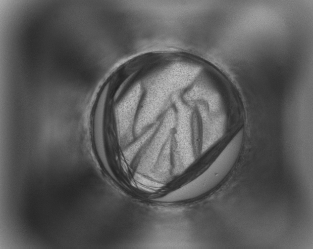 X0000045461488200502081405.png