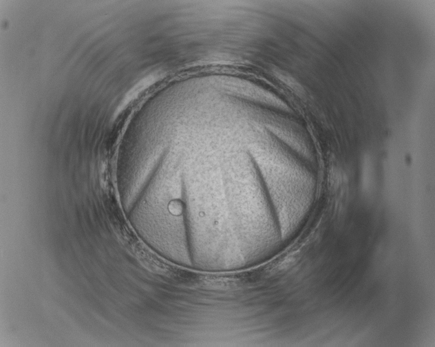 X0000054651258200508091632.png