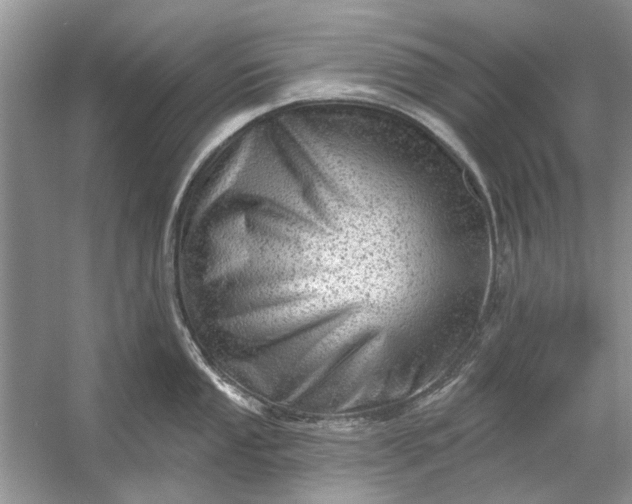 X0000054301053200508042305.png