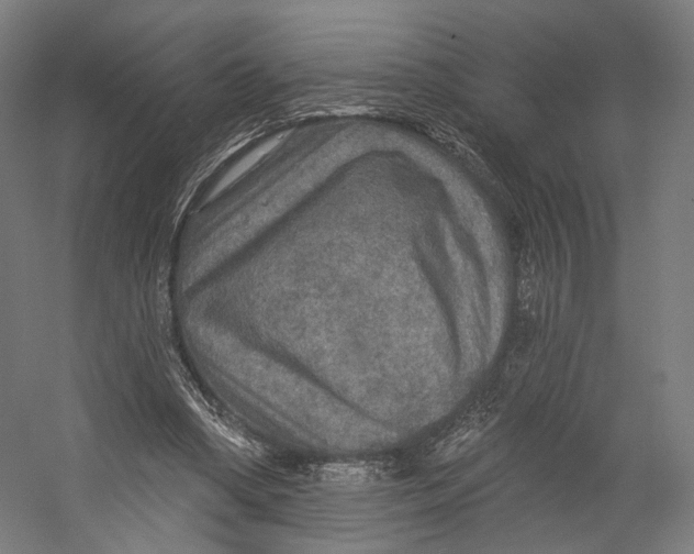 X0000055210394200508301327.png