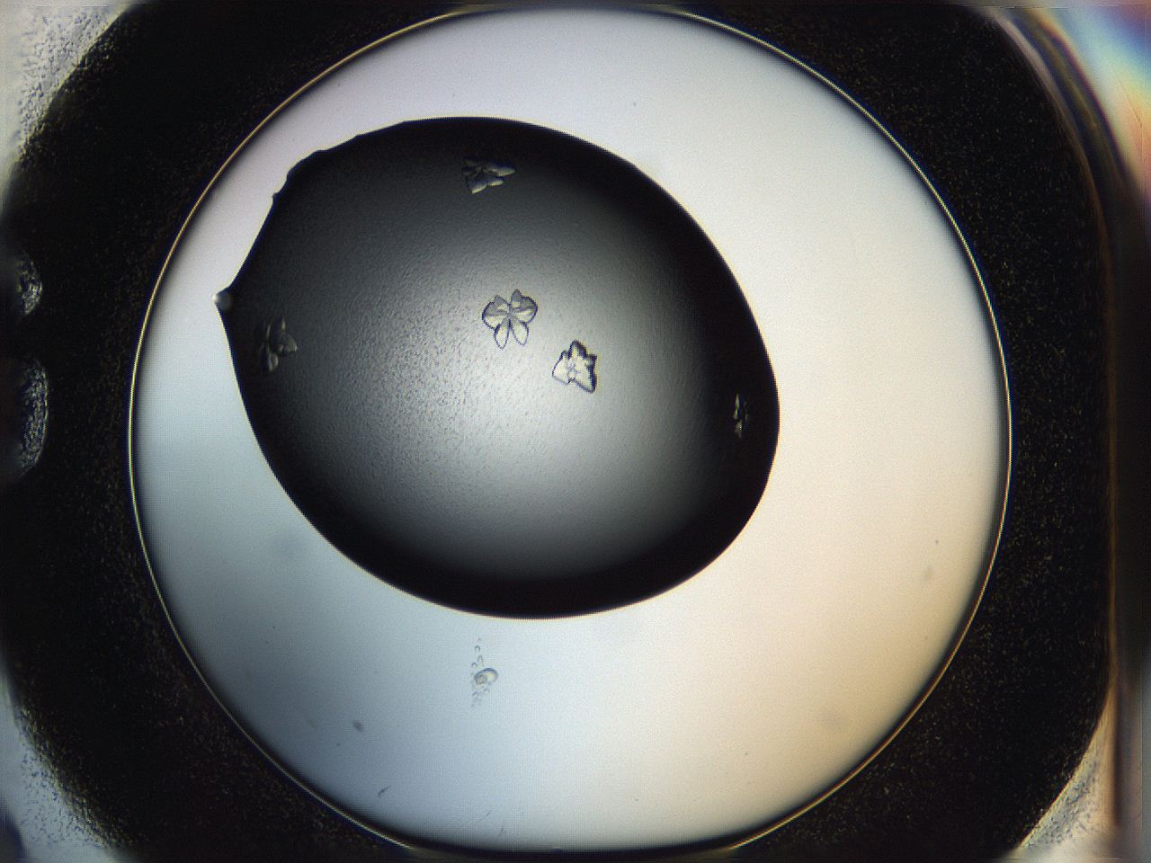 05hc_G2_ImagerDefaults_7.jpg