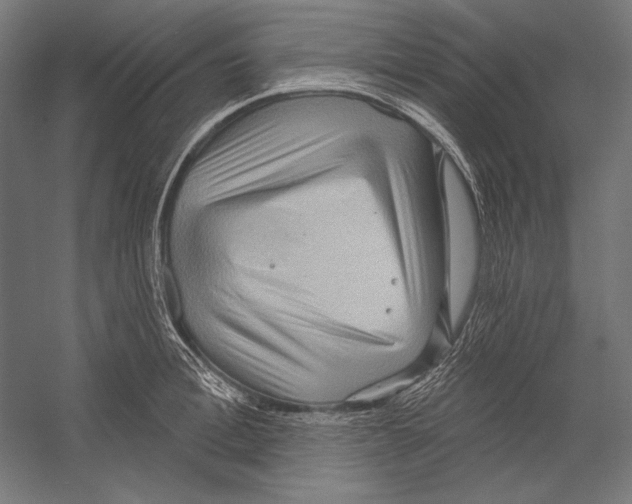 X0000055250996200509071610.png