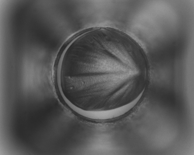 X0000043830988200501051228.png