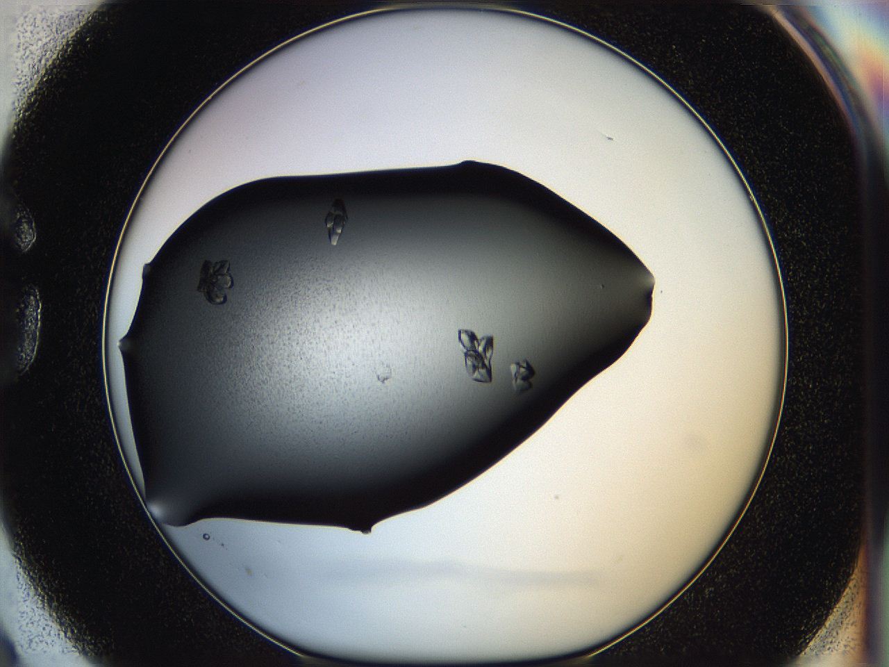 05hc_G3_ImagerDefaults_7.jpg