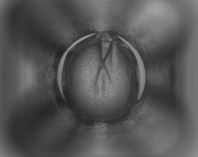 X0000045460214200502081427.png
