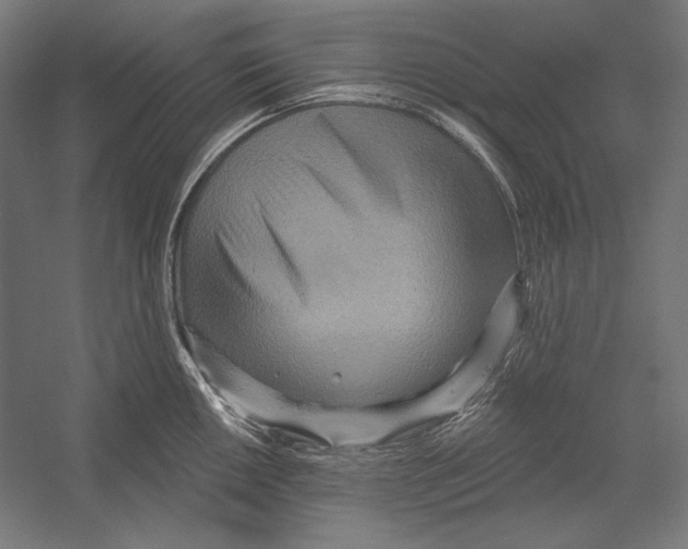 X0000055251050200509071610.png
