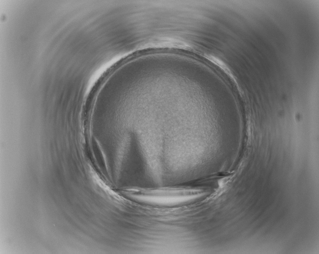 X0000055071120200508232322.png