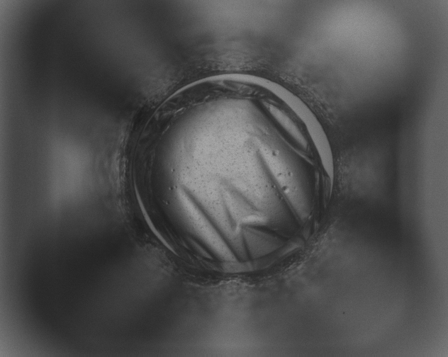X0000044230310200501101645.png