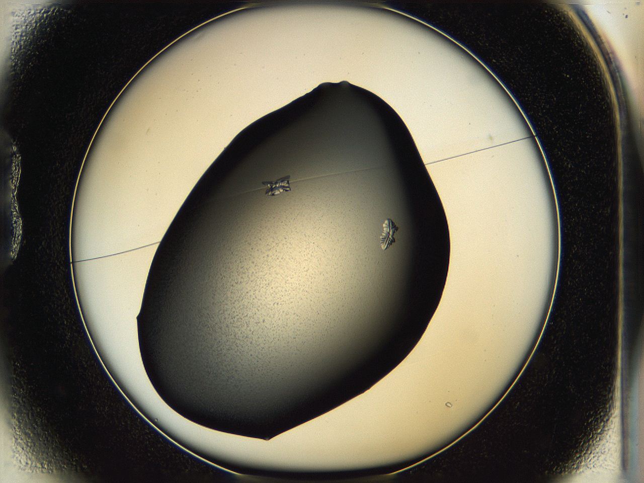 05hc_B1_ImagerDefaults_7.jpg