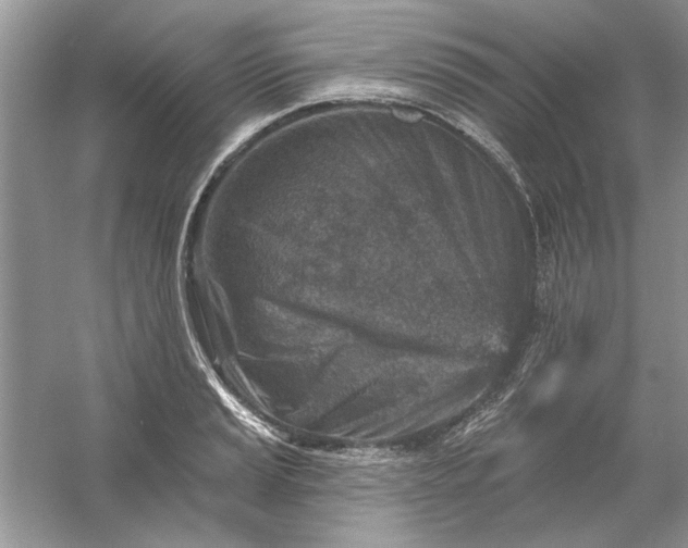 X0000054301037200508042305.png
