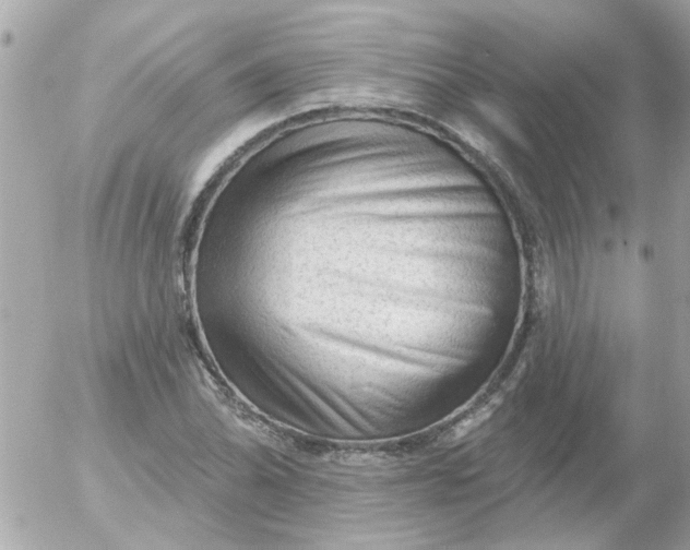 X0000055071070200508232323.png
