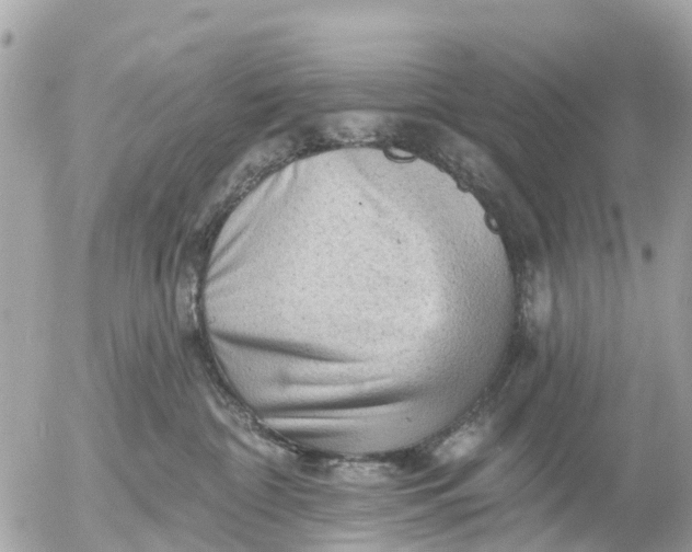 X0000055070332200508232335.png