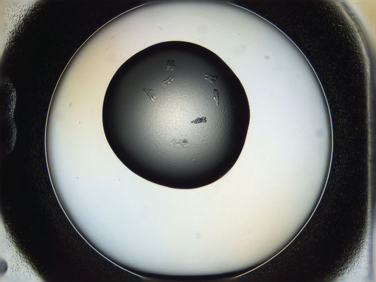 05hc_B5_ImagerDefaults_7.jpg