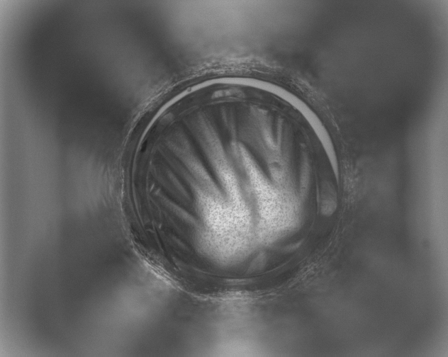 X0000051110059200507141807.png