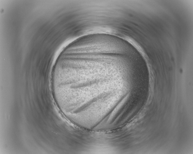 X0000055071104200508232322.png