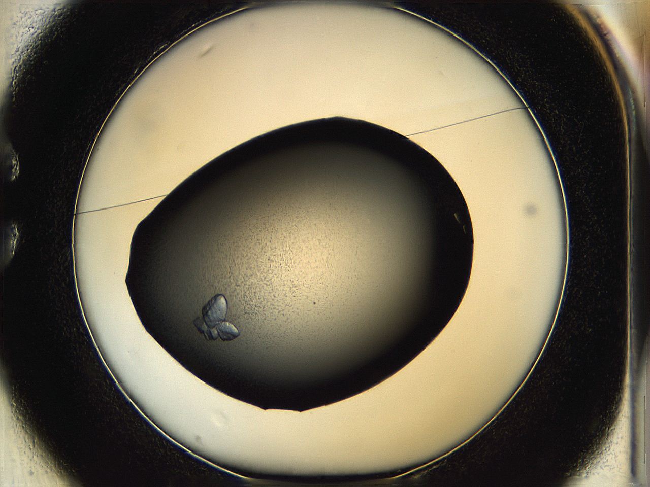 05hc_C1_ImagerDefaults_7.jpg