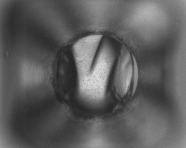 X0000040660071200411092022.png