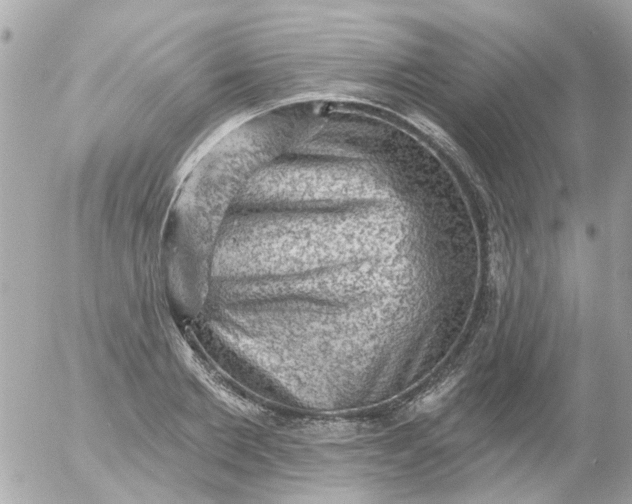 X0000055070885200508232326.png