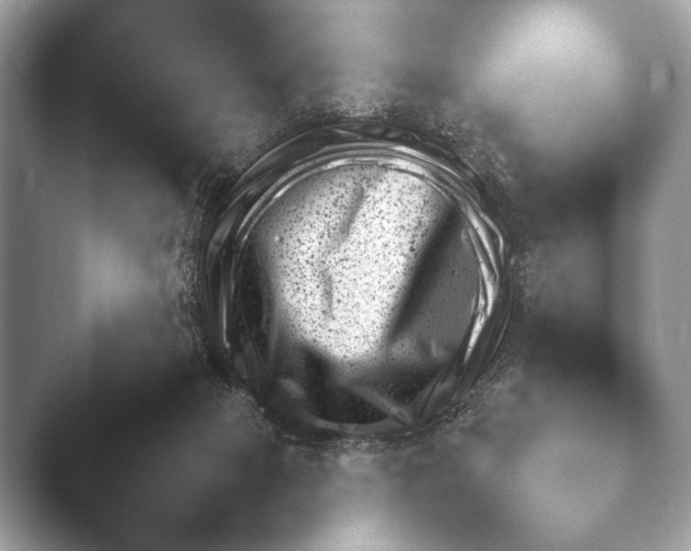 X0000046380073200502141056.png