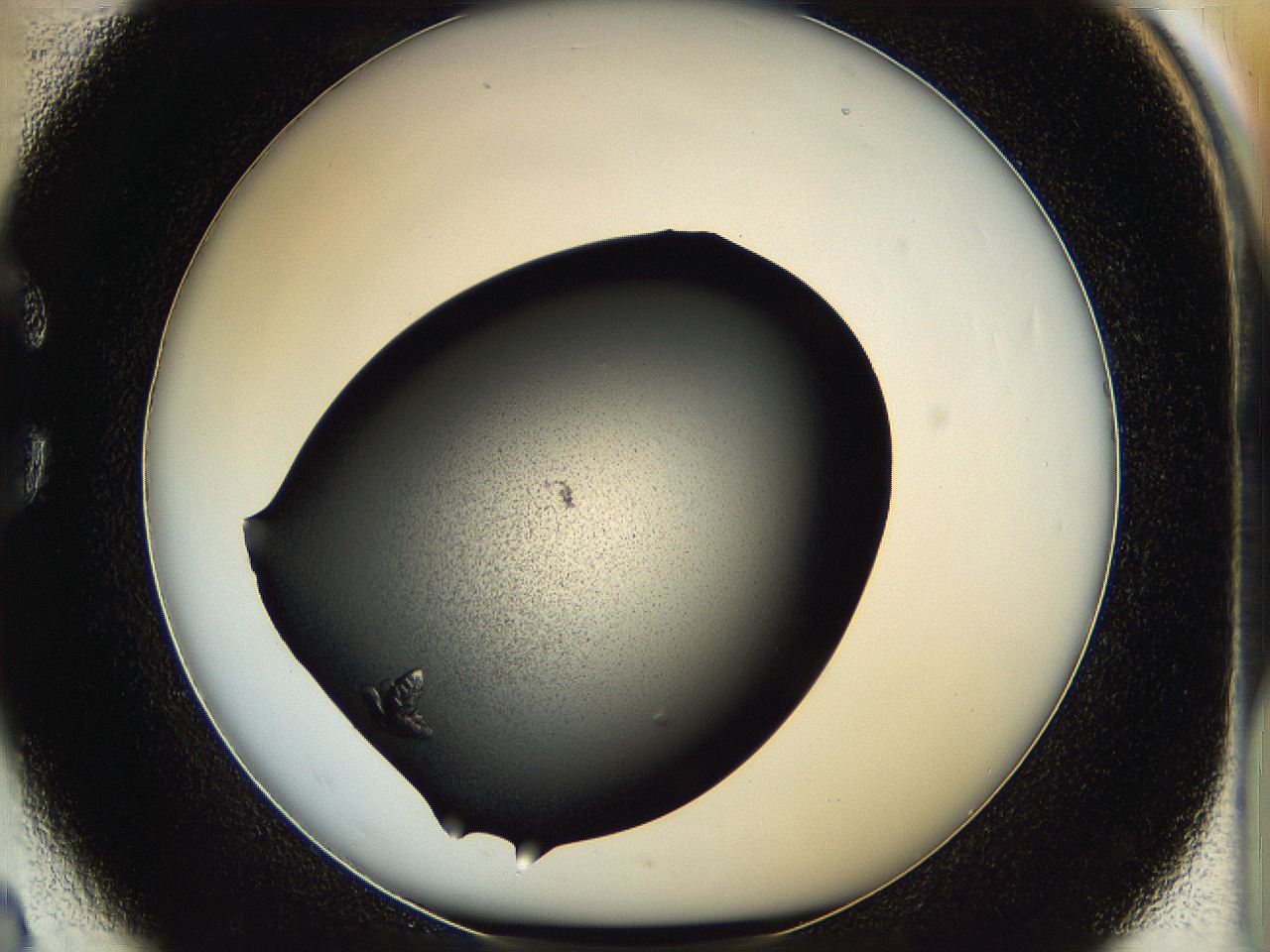 05hc_C2_ImagerDefaults_7.jpg