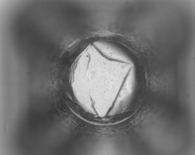 X0000048231205200504061202.png