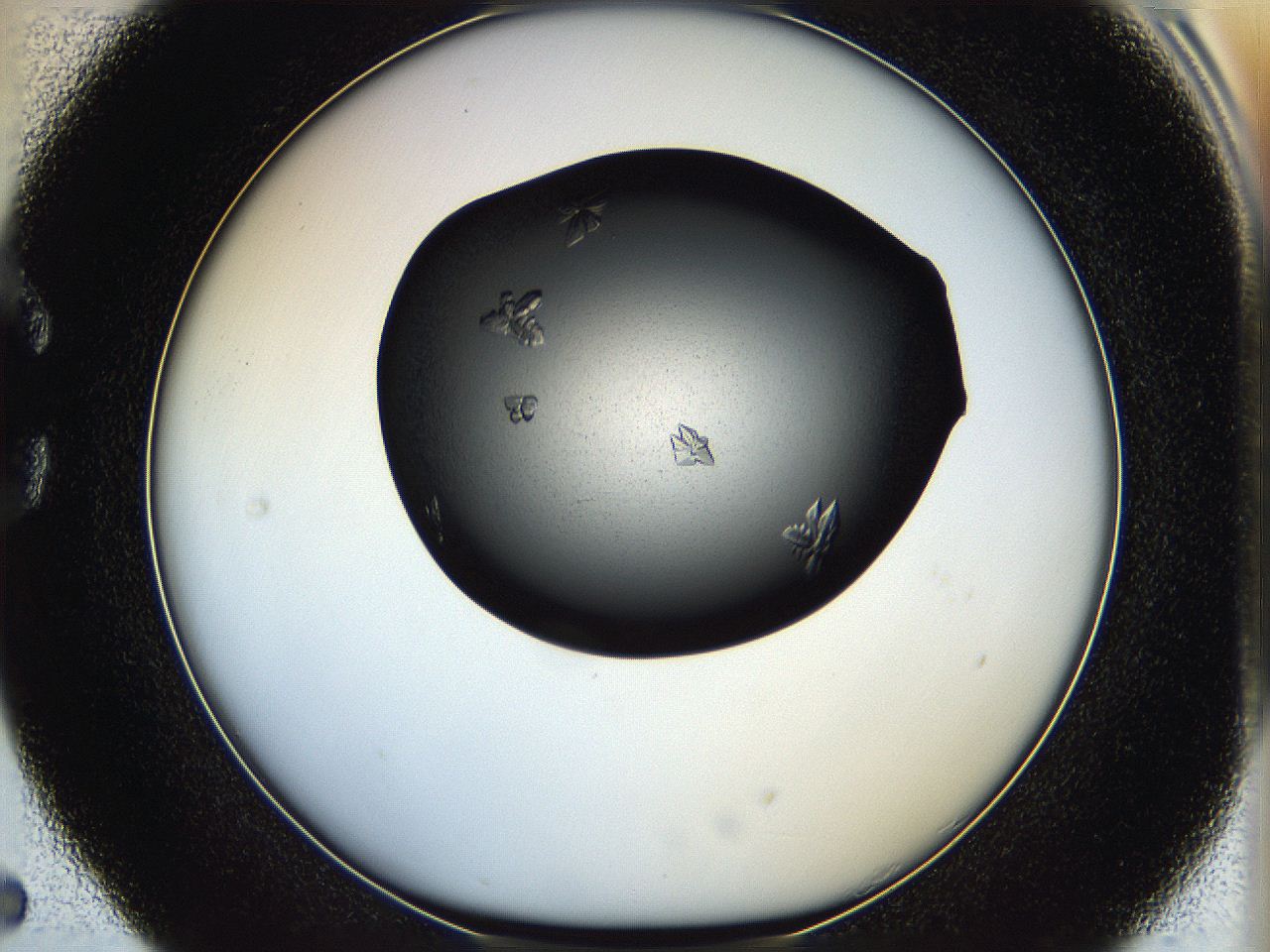 05hc_C5_ImagerDefaults_7.jpg