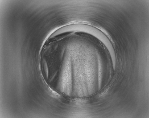X0000054301102200508042303.png