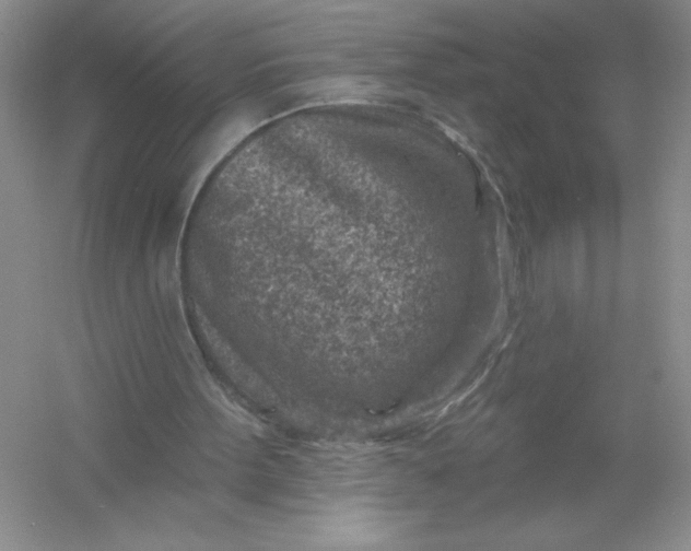 X0000054300099200508042320.png