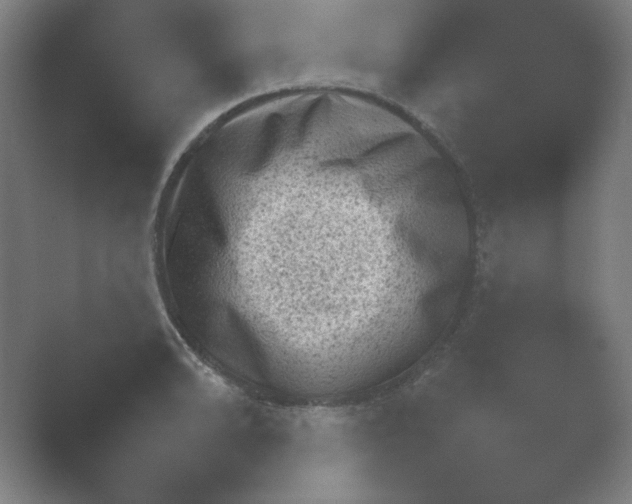 X0000054971086200509051458.png