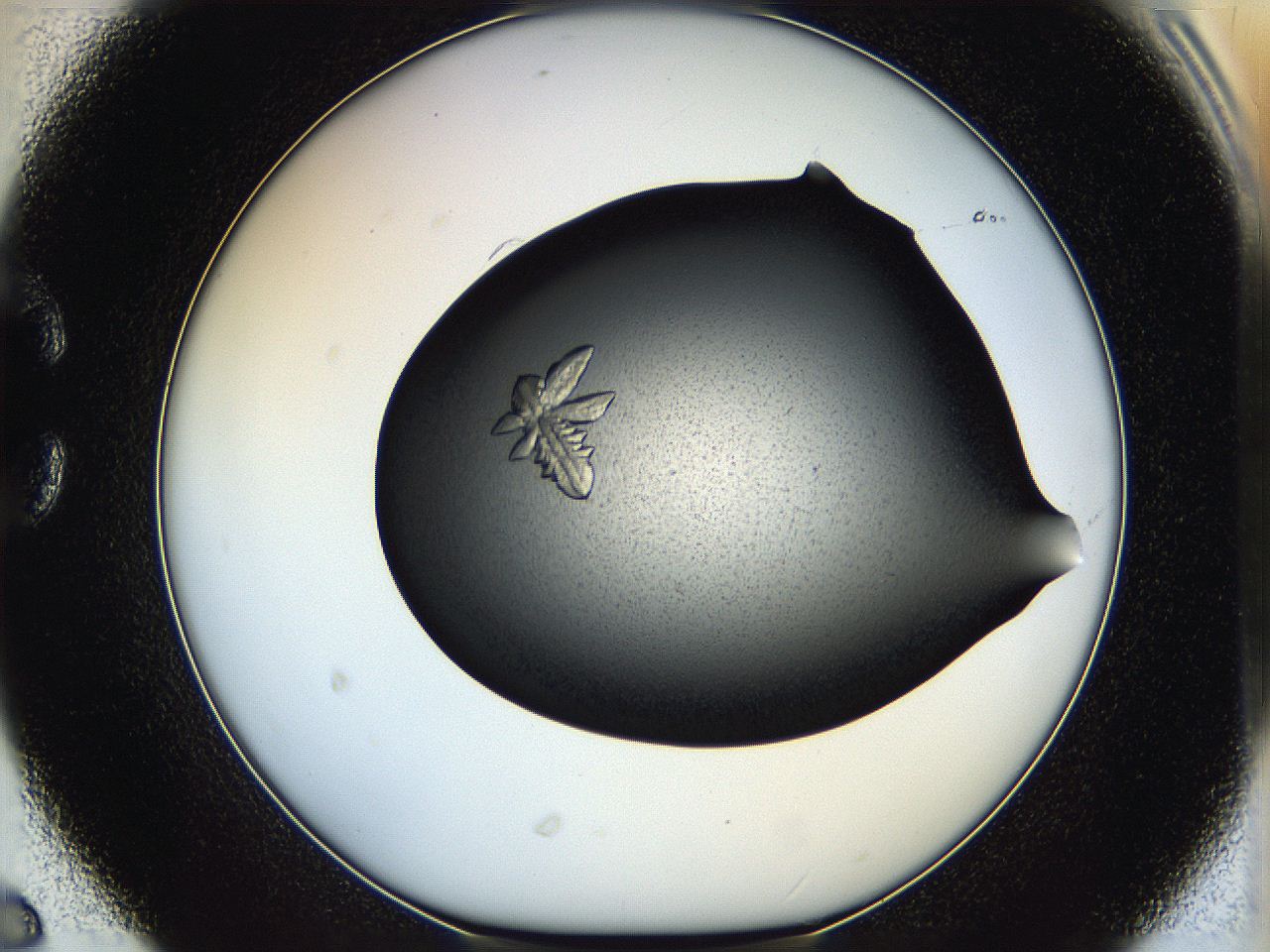 05hc_C6_ImagerDefaults_8.jpg