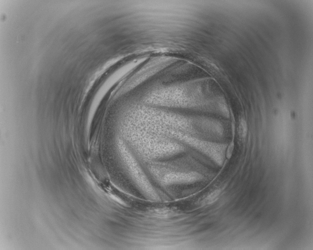 X0000055070540200508232331.png