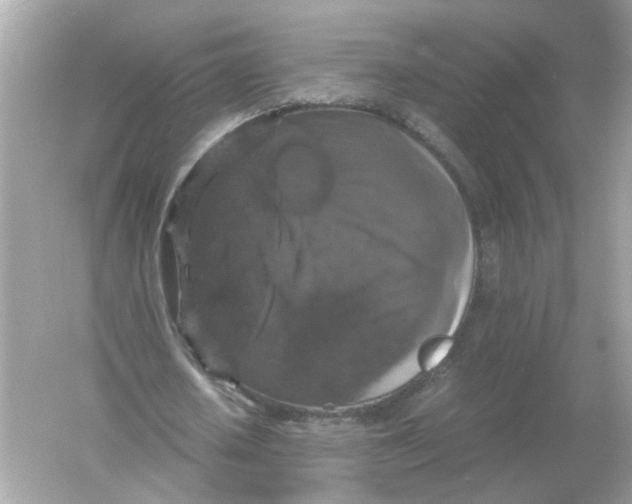 X0000054350626200508190129.png