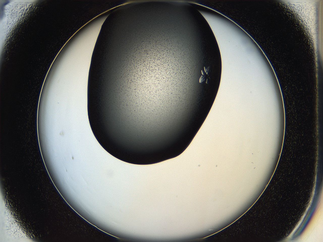 05hd_C4_ImagerDefaults_7.jpg