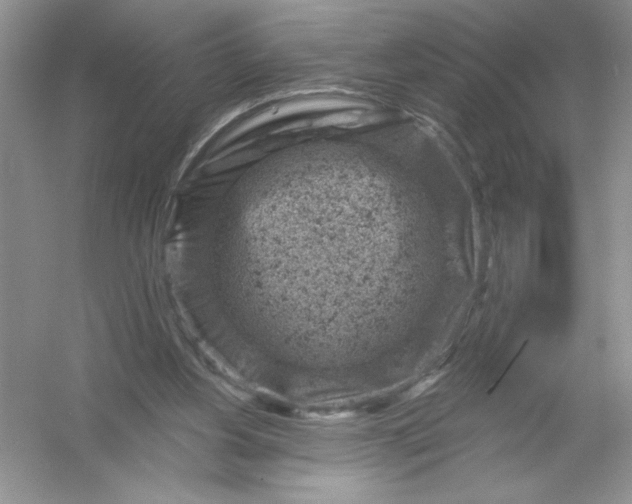 X0000054300156200508042319.png
