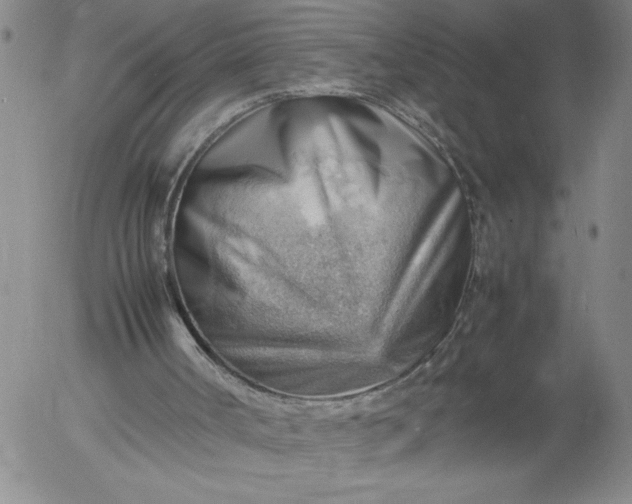 X0000054650002200508091653.png