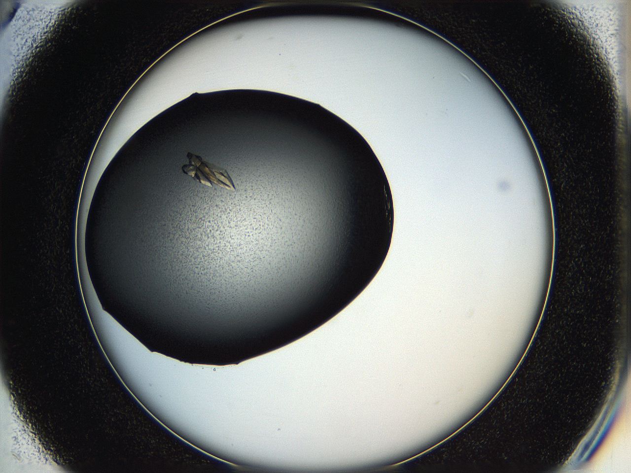05hd_C5_ImagerDefaults_8.jpg