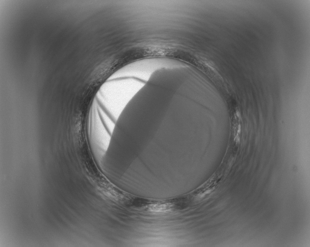 X0000054350314200508190135.png