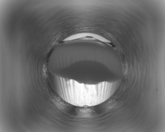 X0000054350669200508190130.png