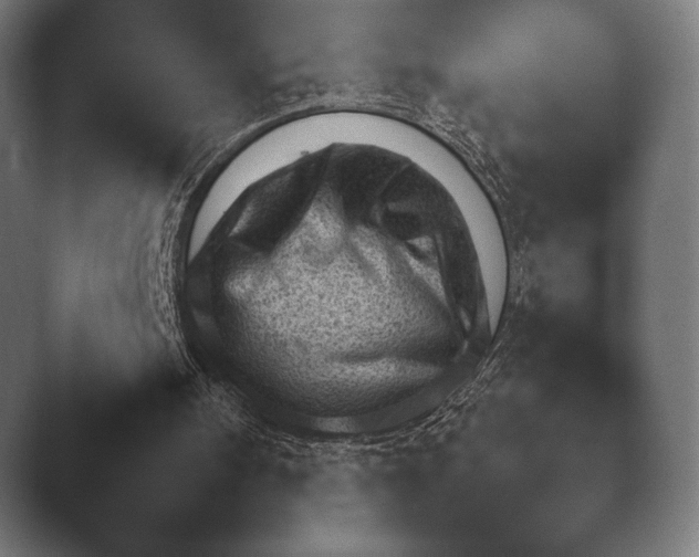 X0000045460098200502081429.png