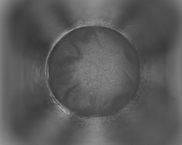 X0000051111078200507141750.png
