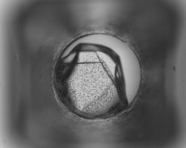 X0000042490001200412132202.png
