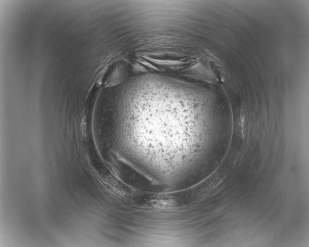 X0000054300552200508042313.png