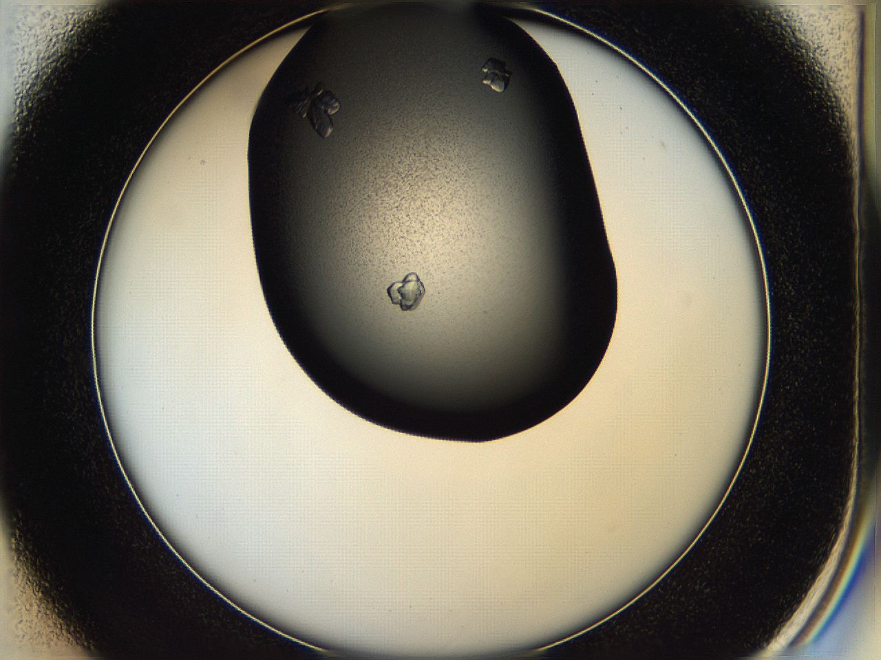 05hd_D1_ImagerDefaults_7.jpg