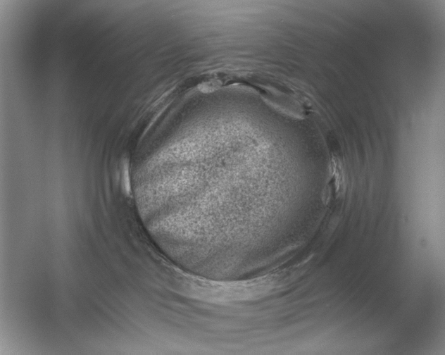 X0000054300046200508042321.png