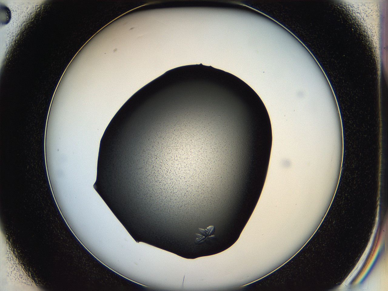 05hd_D2_ImagerDefaults_7.jpg