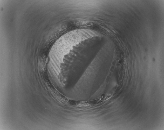 X0000054170515200508101803.png